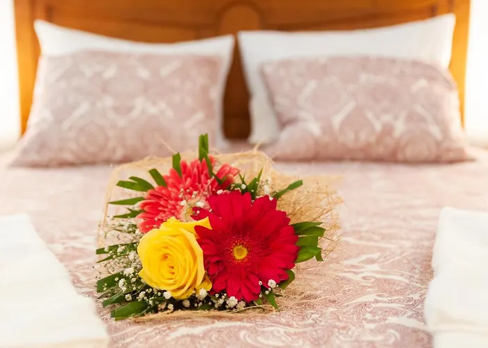 Sailorman And Friends 别墅 蓬塔德尔加达