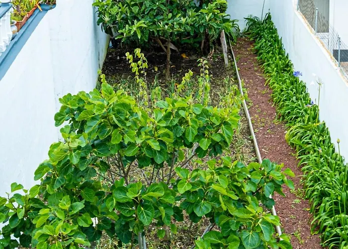 Sailorman And Friends 别墅