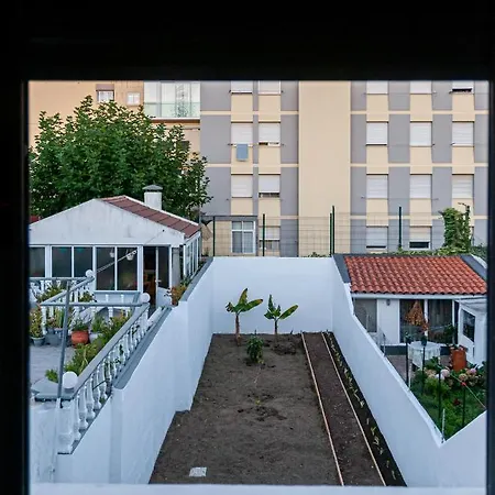 Sailorman And Friends