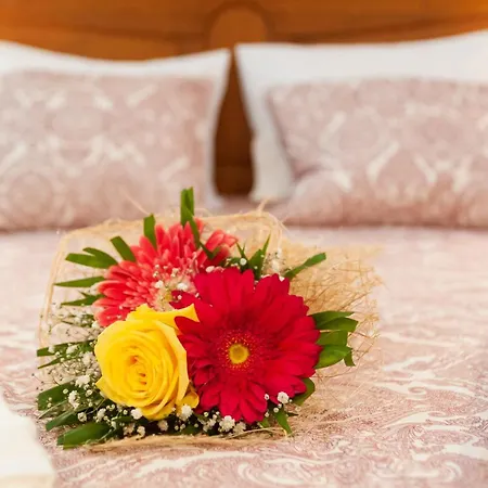 Sailorman And Friends Villa Ponta Delgada