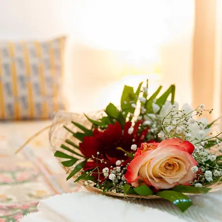 Sailorman And Friends Willa