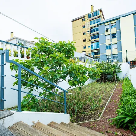 Sailorman And Friends