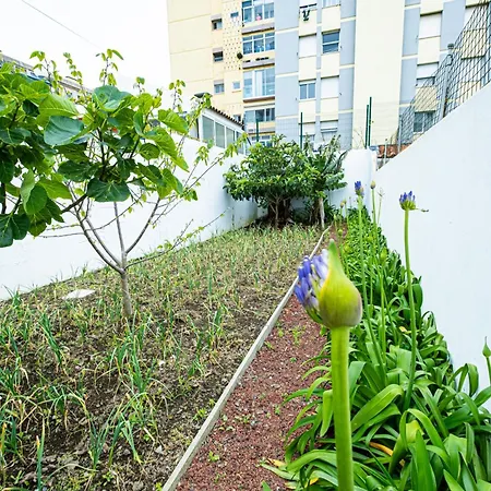 Willa Sailorman And Friends *