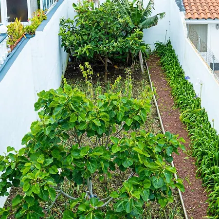 Sailorman And Friends Villa