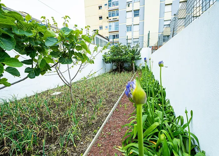 Villa Sailorman And Friends *